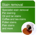 Stain removal for carpets and sofas in Nottinghamshire